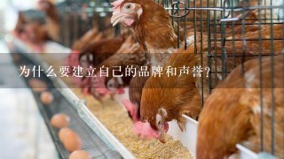 为什么要建立自己的品牌和声誉