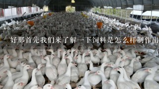 好那首先我们来了解一下饲料是怎么样制作出来的