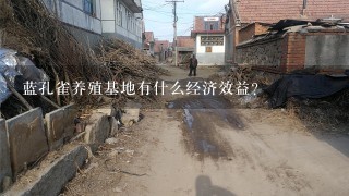 蓝孔雀养殖基地有什么经济效益