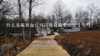 什么是藏獒血它可以提高藏獒的战斗力吗