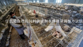 什么是合理的饲料供给和水体质量调整方法以及适当的消毒处理步骤