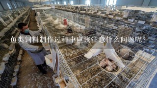 鱼类饲料制作过程中应该注意什么问题呢