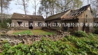 为什么说巴西木养殖可以为当地经济带来新的发展机遇