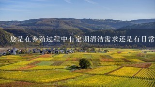 您是在养殖过程中有定期清洁需求还是有日常清理需求呢