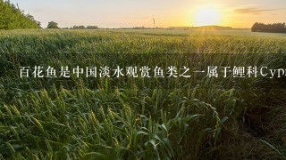 百花鱼是中国淡水观赏鱼类之一属于鲤科Cyprinidae它体型细长而修长身呈青绿色至黑色斑纹状覆盖着的银白色在热带地区广泛饲养养为观赏鱼或宠物鱼Answer一什么是百花鱼