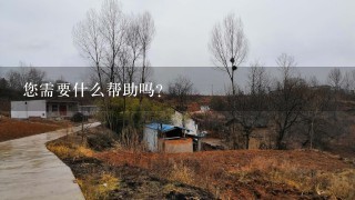 您需要什么帮助吗