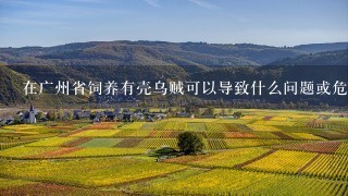 在广州省饲养有壳乌贼可以导致什么问题或危害