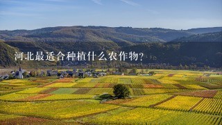 河北最适合种植什么农作物