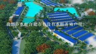 我想养水蛭合肥市有没有水蛭养殖户呢