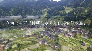 在河北省可以种哪些水果并获得较好收益