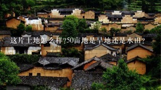 这片土地怎么样50亩地是旱地还是水田