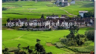 江苏黄缘养殖基地的经营模式是什么