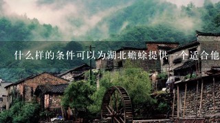 什么样的条件可以为湖北蟾蜍提供一个适合他们生存的地方吗