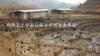 鸡肉怎么存放以保证其鲜度和味道