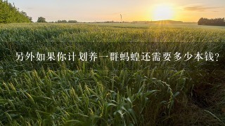 另外如果你计划养一群蚂蝗还需要多少本钱