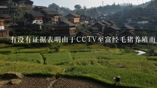 有没有证据表明由于CCTV至富经毛猪养殖而导致当地人口营养不良的人数增多了