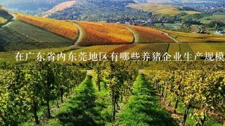 在广东省内东莞地区有哪些养猪企业生产规模最大