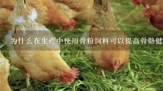 为什么在生产中使用骨粉饲料可以提高骨骼健康水平