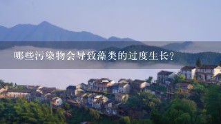 哪些污染物会导致藻类的过度生长