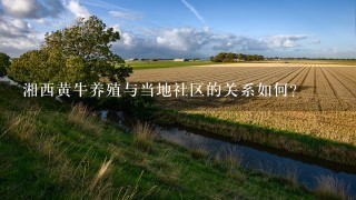 湘西黄牛养殖与当地社区的关系如何