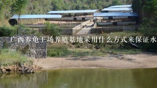 广西养龟王场养殖基地采用什么方式来保证水质稳定