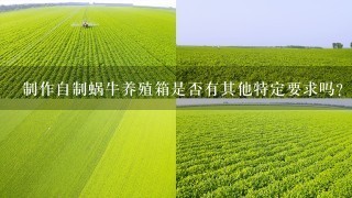 制作自制蜗牛养殖箱是否有其他特定要求吗