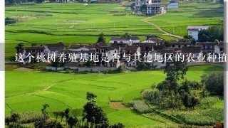 这个桃树养殖基地是否与其他地区的农业种植方式有所不同