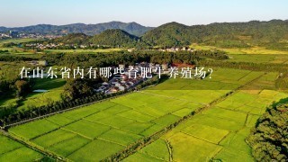 在山东省内有哪些育肥牛养殖场