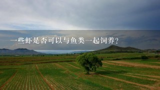 一些虾是否可以与鱼类一起饲养