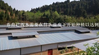 养育巴西木需要在什么温度下开始种植以达到最佳结果