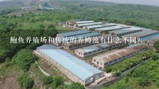 鲍鱼养殖场和传统的养鳟池有什么不同