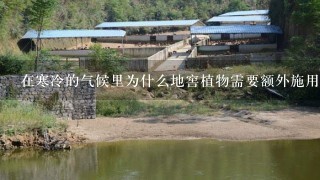 在寒冷的气候里为什么地窖植物需要额外施用养分