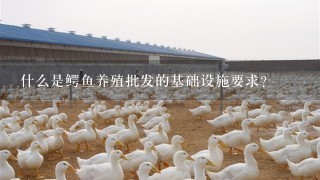 什么是鳄鱼养殖批发的基础设施要求