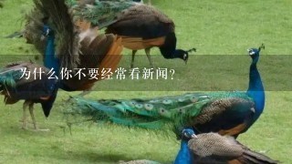 为什么你不要经常看新闻