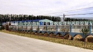 评估报告中的指标分析数据处理和风险控制方法是什么样的