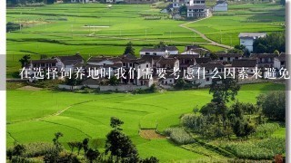 在选择饲养地时我们需要考虑什么因素来避免环境污染和疾病传播的风险