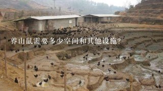 养山鼠需要多少空间和其他设施