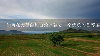 如何在大理白族自治州建立一个优质的苦荞茶产业基地