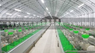 非常感谢您的帮助您能告诉我一下如何判断母羊瘫痪了