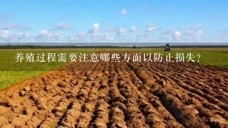 养殖过程需要注意哪些方面以防止损失