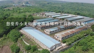 想要养小龙虾需要准备哪些工具和设备呢