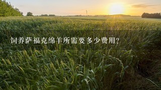 饲养萨福克绵羊所需要多少费用