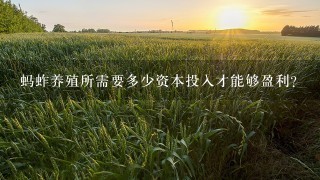 蚂蚱养殖所需要多少资本投入才能够盈利