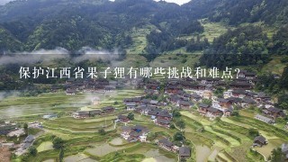 保护江西省果子狸有哪些挑战和难点