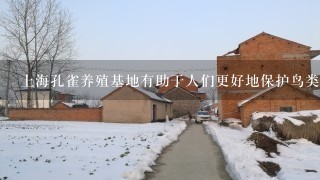 上海孔雀养殖基地有助于人们更好地保护鸟类吗