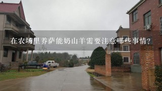 在农场里养萨能奶山羊需要注意哪些事情