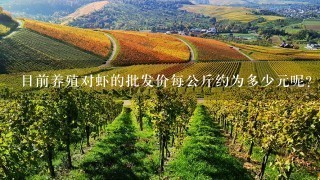 目前养殖对虾的批发价每公斤约为多少元呢