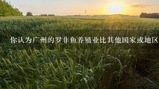 你认为广州的罗非鱼养殖业比其他国家或地区更发达更有规模吗