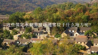 这些保定水貂养殖场通常位于什么地方呢