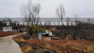 第二个问题是什么是山东牛养殖基地